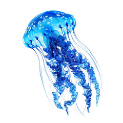 Blue jellyfish clip art