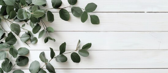 Poster - On a white wooden background there is a space available for an image. Copy space image. Place for adding text and design