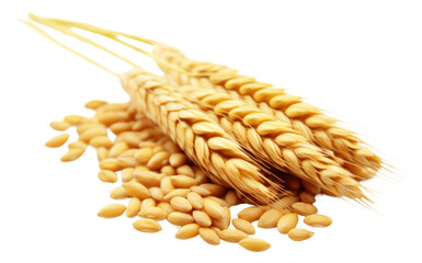 Sticker - PNG Wheat grain food white background agriculture.