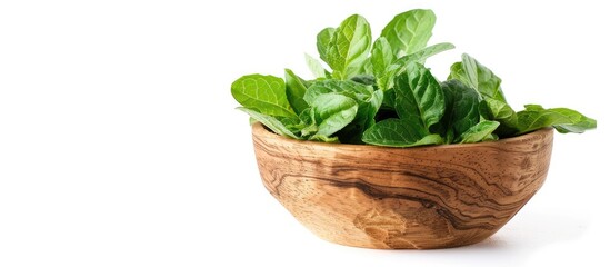 Wall Mural - Pudina leaves in a wooden bowl on a white background with ample copy space image