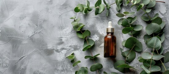 Poster - Aromatherapy item with a bottle of essential oil and eucalyptus leaves on a gray background in a flat lay style providing an area for text in the image. Copy space image