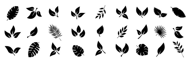 Wall Mural - Set of black leaf icons.  Tropical leaves. Leaves of trees and plants. Leaves on white background. Ecology. Vector illustration.