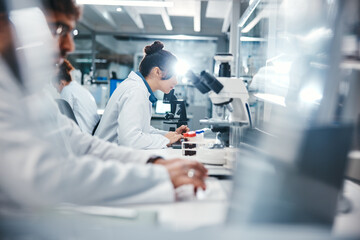 Aufkleber - Medical, research and scientist in laboratory with microscope, observation and experiment for study. Healthcare, employees or doctor with machine for examine cells, microorganisms and investigation