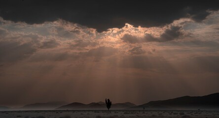 Wall Mural - Dramatic desert landscape with sun rays breaking through dark clouds over distant mountains