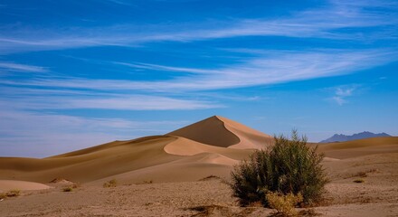 Wall Mural - Scenic view of the sand dunes in the desert under a clear blue sky on a sunny day