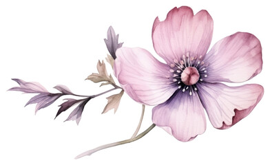 Wall Mural - PNG Flower blossom drawing sketch.