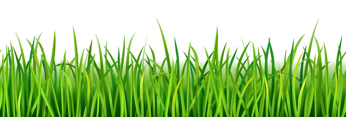 Wall Mural - vibrant green grass seamless pattern on white background, vector illustration