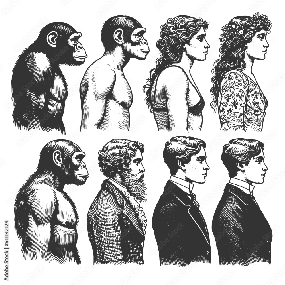 evolution progression of men and women from primates to modern humans ...