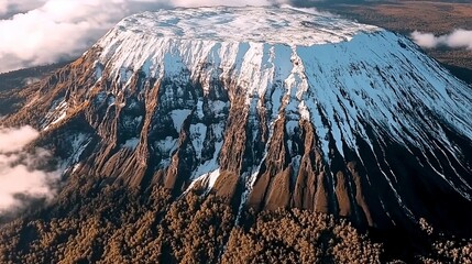 Wall Mural - A snow-capped mountain peak rises above a lush forest.