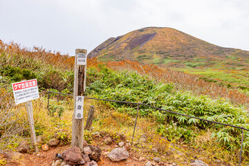 Poster - 秋田県　秋田駒ヶ岳の紅葉風景
