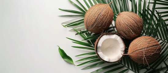 Fresh Coconuts and Palm Leaves on a White Background - Tropical Fruit and Natural Elements Composition