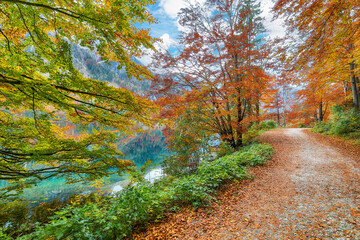 Wall Mural - breathtaking autumn scene of vorderer langbathsee lake.