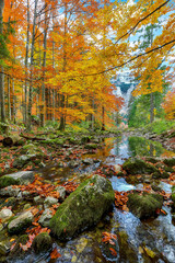 Wall Mural - captivating autumn scene near hinterer langbathsee lake.