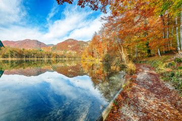 Wall Mural - fabulous autumn scene of sunny morning on almsee lake.