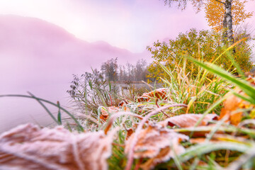 Wall Mural - captivating autumn scene of foggy and sunny morning on almsee lake.