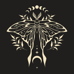Wall Mural - mystic moth vector illustration. magic moon, occult, print, poster.