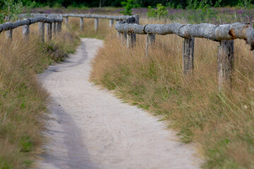 Countryside landscape in summer, Nature gravel path and grass with wooden rail, Havelterberg is a village in Dutch province of Drenthe, Between the municipalities Meppel and Westerveld, Netherlands.