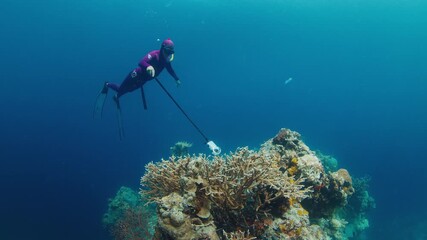 Poster - Underwater content filming. Freediver swims underwater near the corals in Raja Ampat region in Indonesia and films content with action camera