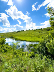 Sticker - Beautiful river on fields of green grass in summer