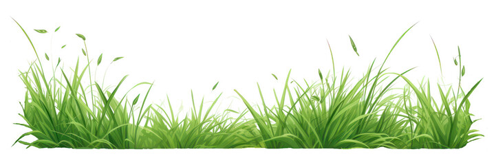 Canvas Print - Grass plant green lawn.