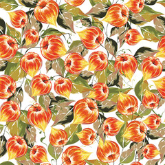 Wall Mural - Tropical, exotic fruit ground cherries leaves decorated seamless pattern background.