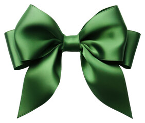 Canvas Print - PNG Christmas bow green white background celebration.