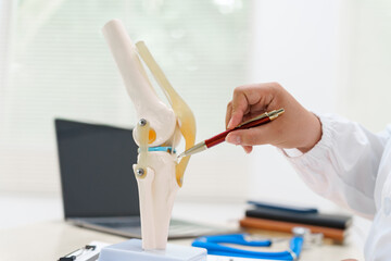 A doctor uses a knee joint model to demonstrate anatomy, diagnose conditions like osteoarthritis, and discuss treatment options, including surgery and therapy, with a patient in a clinical setting.