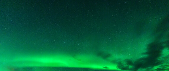 Wall Mural - aurora borealis, northern lights glowing with starry in the night sky