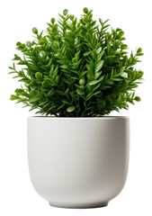 Sticker - PNG Plant white herbs vase.