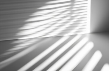 Canvas Print - A white wall with blinds shaded. White and black for overlaying a photo or mockup.