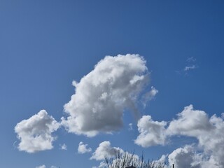 Wall Mural - Summer white fluffy cumulus clouds in the deep blue sky