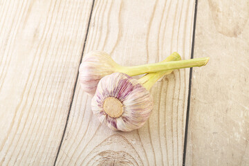 Two Young garlic over background