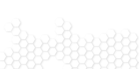 Wall Mural - Abstract white hexagon minimal grid line creative.Abstract. Hexagon , honeycomb white Background,white and gray hexagon honeycomb geometric copy space.Luxury white hexagon pattern,