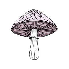 monochrome illustration of mushroom with intricate patterns on white isolated background, embracing 