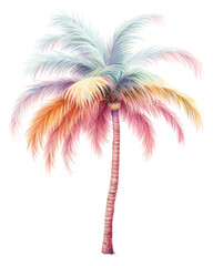 Wall Mural - PNG Palm tree plant invertebrate arecaceae.