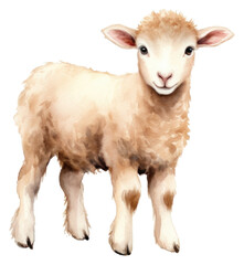 Sticker - PNG Livestock animal mammal sheep.