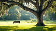 © Carmen - Southern Live Oak tree with Spanish Moss and hanging swing chair in field, copy space