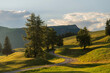 © Anna Tsukanova/Stocksy - Scenic view of road through forest in Dolomites at sunset