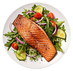 Poster - PNG Seafood salmon salad plate.