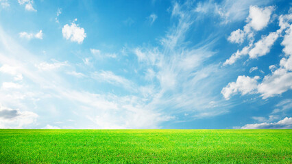 Wall Mural - summer landscape with green field and sky