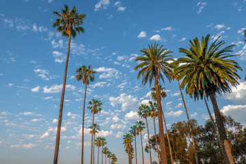 Wall Mural - Los Angeles, California