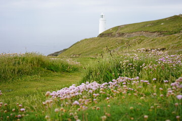 lighthouse on the coast