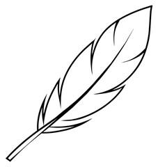 Wall Mural - simple outline feather isolated icon. vector illustration