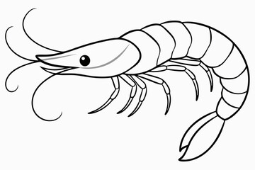 Wall Mural - shrimp line art vector , shrimp icon vector, Sea lobster	
