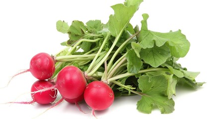 Poster -   A radish cluster rests atop a white table beside a lush green foliage