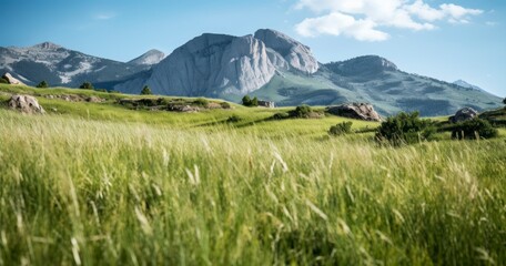 Wall Mural - Meadow with green grass and mountains in background,