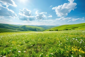 idyllic countryside rolling green hills dotted with wildflowers stretch to horizon fluffy clouds cast shadows on landscape warm golden light evokes peaceful summer day