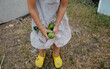 © Anna Artemenko/Stocksy - girl collects pears along the hem of her dress