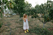 © Anna Artemenko/Stocksy - girl picking pears in the garden