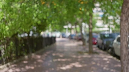 Wall Mural - Blurred city sidewalk with cars parked on the side and trees lining the path creating a bokeh effect